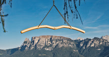 Charger l&#39;image dans la galerie, Snake Pull-Up Bar Portable- La barre de traction à emporter
