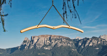 Load image into Gallery viewer, Snake Pull-Up Bar Portable B-stock - the pull-up bar for on the go
